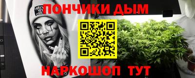 кокс Можга