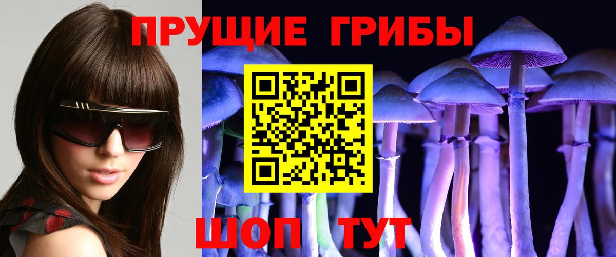 Усть-Джегута  Галлюциногенные грибы ЛСД  Галлюциногенные грибы мицелий  Вход с VPN 