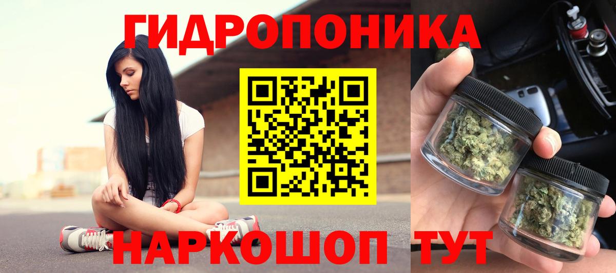 Бошки Шишки семена Усть-Джегута